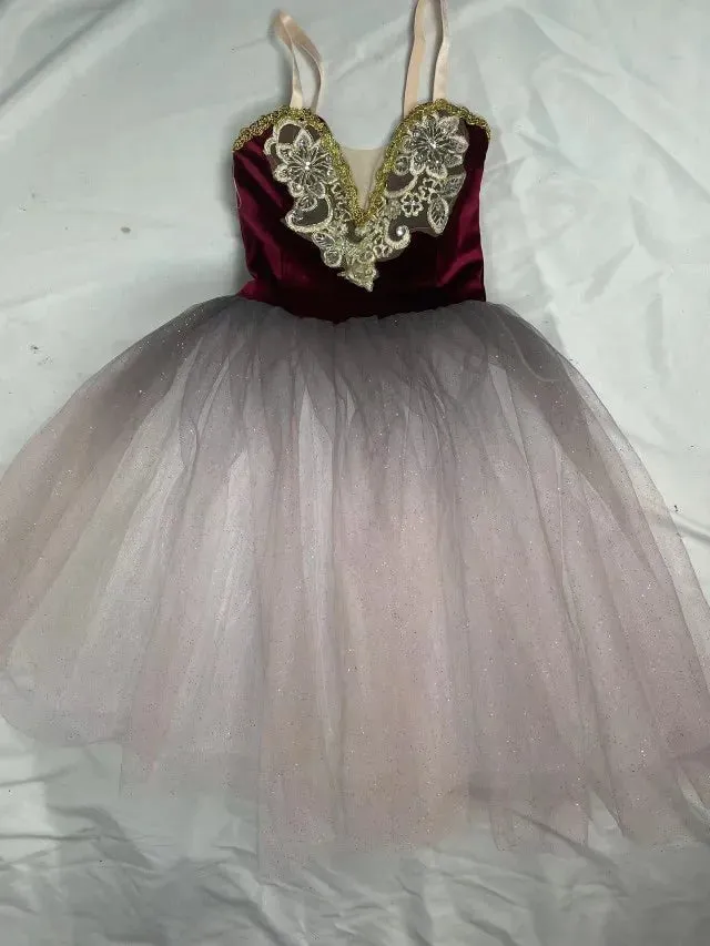 Fae Ballerina Aurora's Long Ballet Dance Dress Children Women