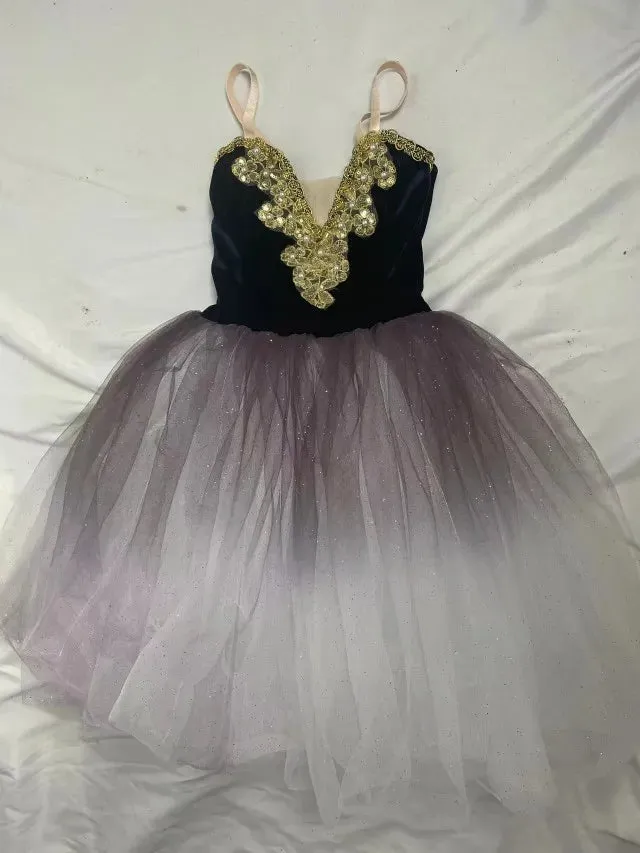Fae Ballerina Aurora's Long Ballet Dance Dress Children Women