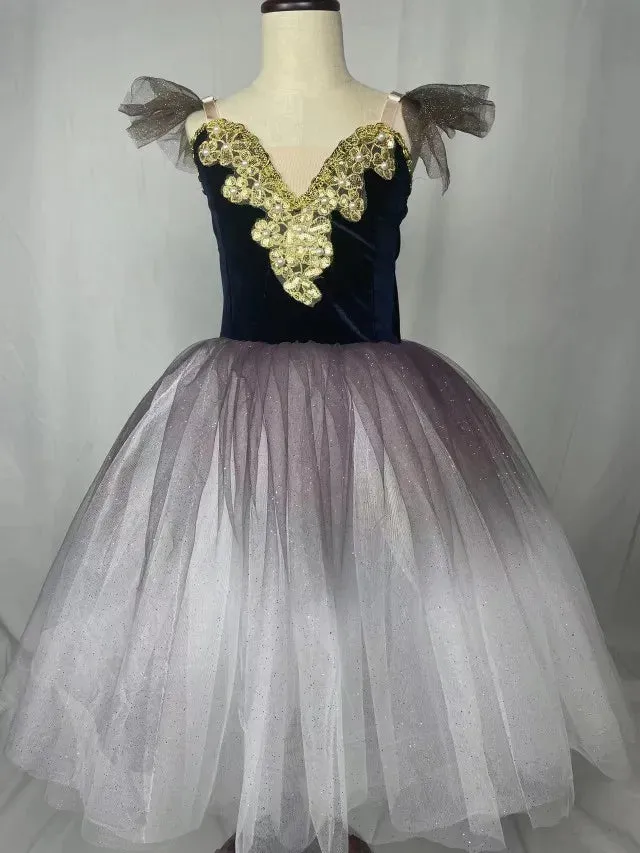 Fae Ballerina Aurora's Long Ballet Dance Dress Children Women