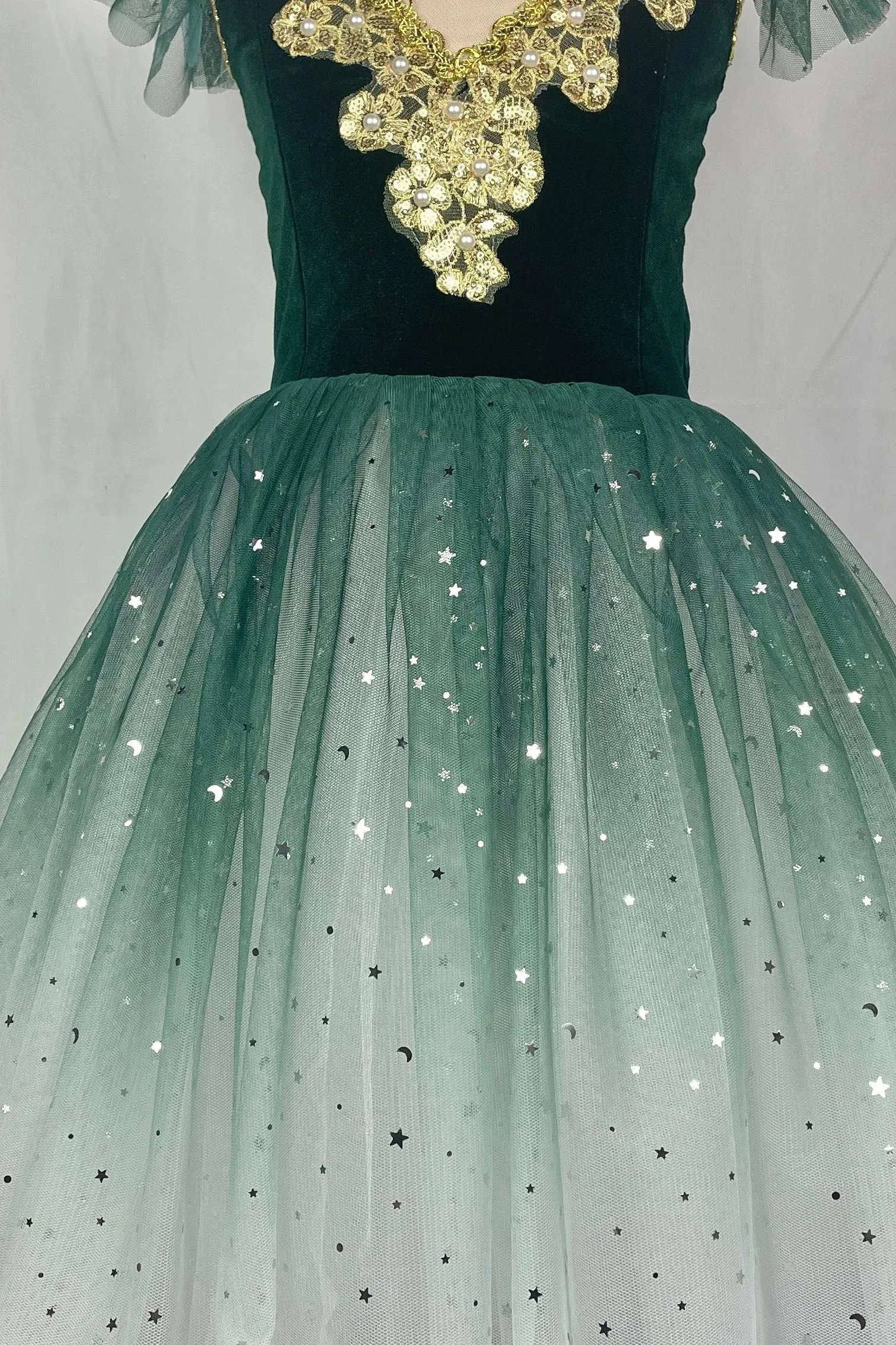Fae Ballerina Aurora's Long Ballet Dance Dress Children Women