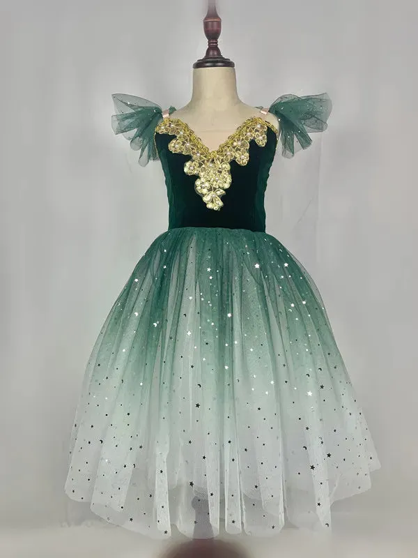 Fae Ballerina Aurora's Long Ballet Dance Dress Children Women